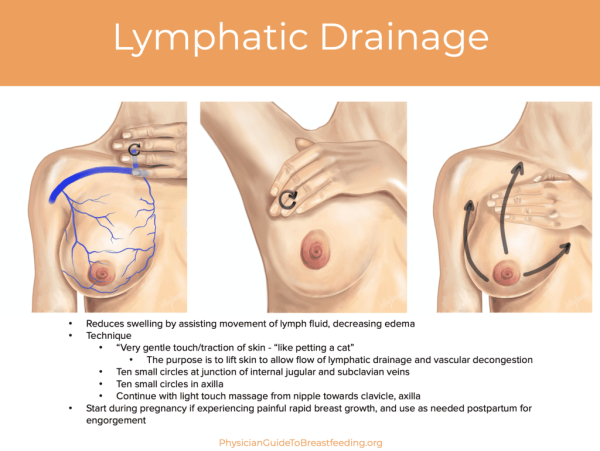 Lymphatic drainage diagram - PhysicianGuideToBreastfeeding.org