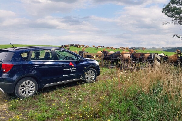 "Shut the gate behind you!": a spotlight on our teams and services in rural Aotearoa 