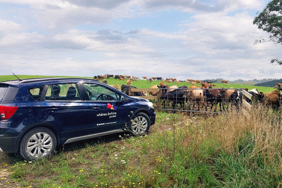 plunket rural home visit car farm livestock