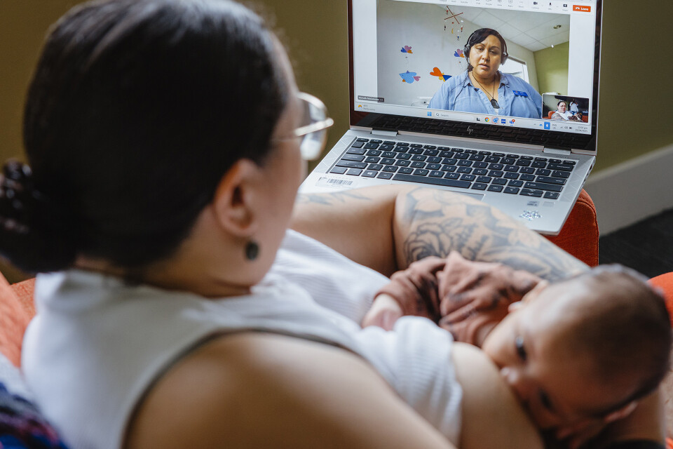 plunket virtual services