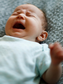 plunket car seat fitting