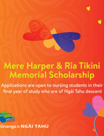 Ngai Tahi Scholarship 2