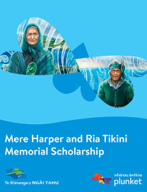 plunket ngai tahu nursing scholarship 2026