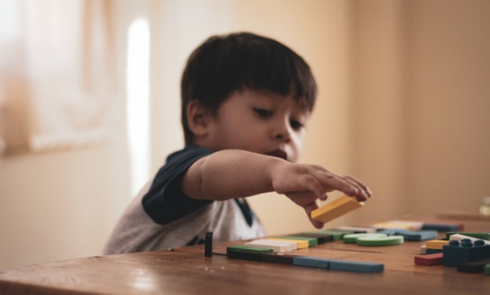 boy holding block toy 1598122 v2