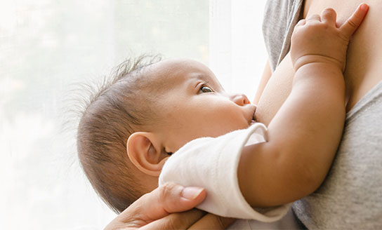 breastfeeding awhi lactation consultants header