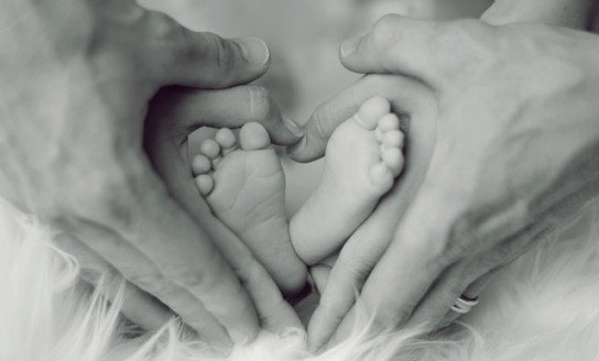 grayscale photo of baby feet with father and mother hands in 733881