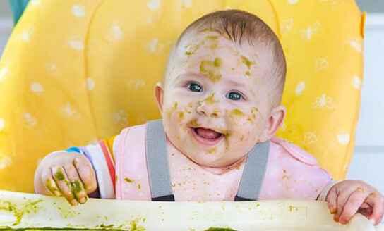 plunket introducing solids baby highchair