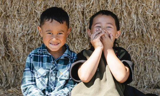 whanau awhina plunket strategy